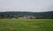 Trail Walking Montigny-le-Tilleul - Balade de Landelies à l'abbaye d'Aulne - Photo 2