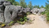 Tocht Stappen Fontainebleau - Barbizon sentier Denecourt 6 ouest - 6-6 - Photo 18