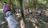 Trail Horseback riding Buoux - Provence 2025 J2 - Photo 14