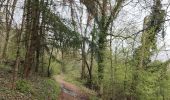 Tour Wandern Vindry-sur-Turdine - Autour de Saint loup  - Photo 6