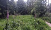 Trail Walking Jalhay - mon 8 de la statte  - Photo 8