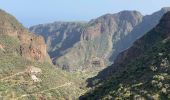 Excursión Senderismo Ingenio - Barranco de Guayadeque (Gran Canaria) - Photo 7