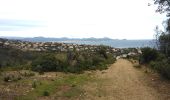 Percorso Marcia Roquebrune-sur-Argens - Les Issambres : Draille des roches - Dolmen - Photo 3