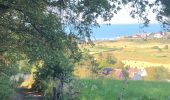 Trail Walking Hautot-sur-Mer - Rando Hautot-sur-Mer  - Photo 4