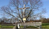 Tour Zu Fuß Bad Camberg - Rundwanderweg Schnepfe - Photo 9