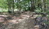 Percorso Mountainbike Saint-Priest - Saint-Priest Cyclisme sur route - Photo 6