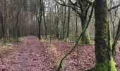 Tocht Stappen Maaseik - Wandelen in de Duinengordel - Photo 7