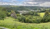 Tocht Stappen Durbuy - Bomal-Comblain au Pont/Rivage 33 km - Photo 4