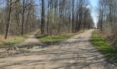 Randonnée Marche Asnières-sur-Oise - randonnée en forêt de bâillon et campagne - Photo 4