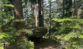Trail Walking Saulcy-sur-Meurthe - Les roches du Kemberg - Photo 8