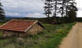 Trail Walking Andance - L'Andancoise  - Photo 1