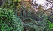 Tour Wandern La Roquebrussanne - chapelle St André et grotte des irris - Photo 6