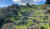 Tocht Stappen Valverde - Valverde - Garoé - Ventejis (El Hierro) - Photo 9