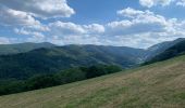 Tocht Paardrijden Orbey - Orbey- Sainte Marie aux mines - Photo 1