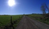 Percorso Mountainbike La Roche-en-Ardenne - activity_8670328691 - Photo 2