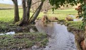 Trail Walking Valorbiquet - St Cyr du Ronceray  - Photo 2