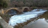 Trail On foot Vins-sur-Caramy - Vins sur Caramy lac ste Suzanne grotte des résistants... - Photo 5