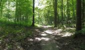 Trail Walking Louviers - 20210615-Louviers  - Photo 3