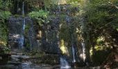 Randonnée Marche Châtillon-en-Diois - Chatillon en Diois -Source de l'Adoux - Photo 4