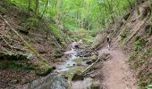 Trail Walking Kordel - Kordel ramstein burg 23 km - Photo 4