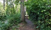 Trail Walking Chaumont-Gistoux - Sur les traces de la préhistoire  - Photo 6