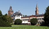 Percorso A piedi Weinheim - Rundwanderweg 3: Großer Rundweg - Photo 7