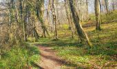 Randonnée Marche Chimay - De Virelles à Lompret par le hameau de Vaulx - Photo 10