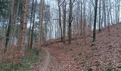 Trail Walking Theux - tancremont . la Tourette . les Mazures . chalsèche . forgé thiry . anc fort  - Photo 9