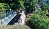 Trail Walking Val-d'Aigoual - vers les cascades d orgon - Photo 2