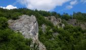 Trail Walking Dinant - Furfooz  - Photo 9