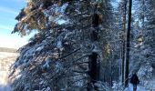 Randonnée Marche Waimes - Un grand tour depuis le Mont Rigi - Photo 1