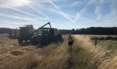 Trail Walking Lubbeek - Natuurpunt: het Koebos (PVDB) - Photo 4