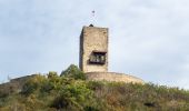 Tocht Paard Labaroche - Labaroche - kaysesberg - Photo 6