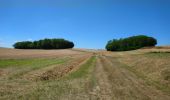 Randonnée Marche Bléré - Bléré - Fontenay - 15.9km 145m 3h45 - 2022 07 31 - Photo 1