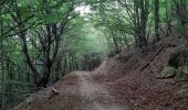 Tour Wandern L'Albère - col de l ullat . puig d orella . puîg sant cristau . col de l ullat - Photo 1