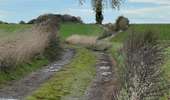Trail Walking Les Bons Villers - #221021 - Mellet, Champ Chassart et Saint Fiacre - Photo 4