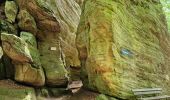 Tour Wandern Berdorf - Mullerthal Berdorf B5+B8 Raiberhiel-Teufelsinsel-Siewenschleff-Berdorfer Kasselt-Keltenkapp-Passage Mandrack-Geierslay-Perekop-Huel Lee (PVDB) - Photo 13
