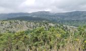 Trail Walking Coursegoules - coursegoules st barnabé  - Photo 1