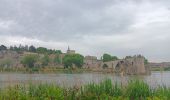 Randonnée Marche Avignon - ile de Barthelasse 1ere du top 10 des balades d Avignon... pauvres avignonais... - Photo 2