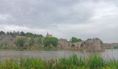 Trail Walking Avignon - ile de Barthelasse 1ere du top 10 des balades d Avignon... pauvres avignonais... - Photo 2