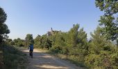Excursión Bici de montaña Vaison-la-Romaine - Tour des Dentelles - Photo 2