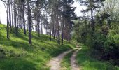 Tour Zu Fuß Bad Staffelstein - Keltenweg D - Photo 6