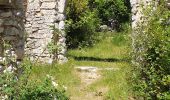 Trail Walking Lioux - Javon  St Hubert   - Photo 3
