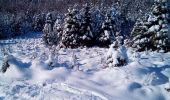 Excursión Raquetas de nieve Arc-sous-Cicon - ARC SOUS CICON 