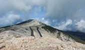 Trail Walking Bédoin - du chalet renard au sommet du ventoux - Photo 8