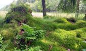 Excursión Senderismo Spa - aérodrome. bois des vieilles fagnes . malchamps . retour le long de la fagne  - Photo 20