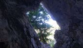 Tour Wandern Peyrus - pont des sarrasins, faucon, piaroux  - Photo 4