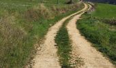 Randonnée Marche Rivière-sur-Tarn - Puech de Fontaneilles - Photo 9