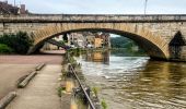 Tour Zu Fuß Villeneuve-sur-Yonne - Villeneuve Sur Yonne - Sens 32 km étape 1/3 - Photo 12