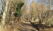 Trail Walking Fumichon - Fumichon - Photo 15